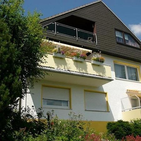 Ferienwohnungen Luttmann Ausblick Pur Bad Pyrmont Εξωτερικό φωτογραφία